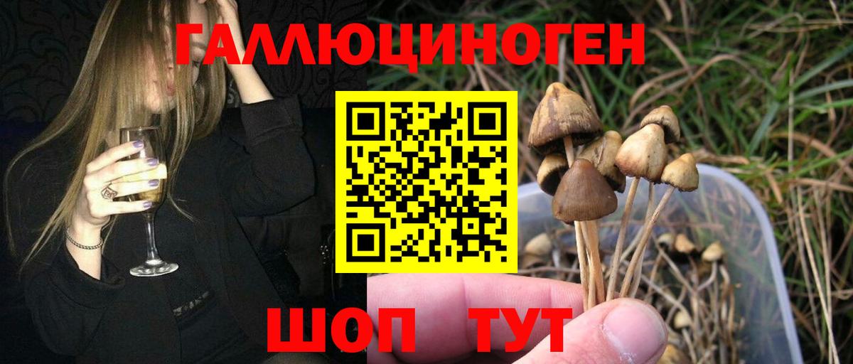 Псилоцибиновые грибы Magic Shrooms Александров