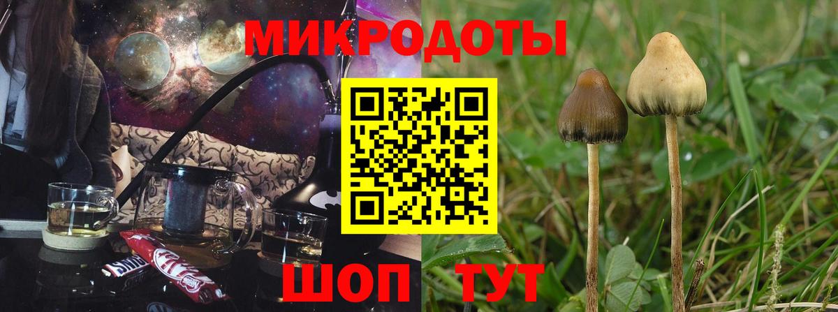 Александров  Псилоцибиновые грибы мухоморы  Вход с VPN 